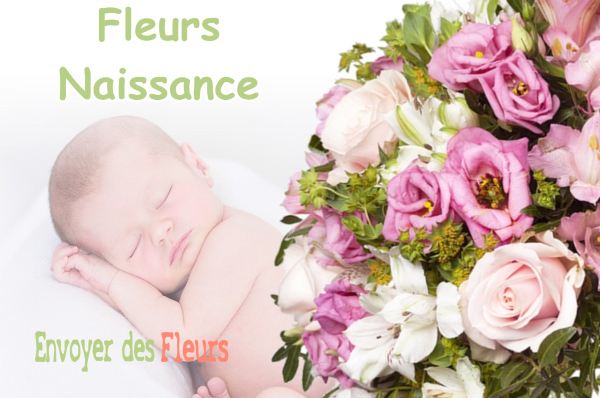 lIVRAISON FLEURS NAISSANCE à SAINT-GEOURS-D-AURIBAT