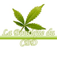 LA BOUTIQUE DU CBD SAINT-GEOURS-D-AURIBAT 